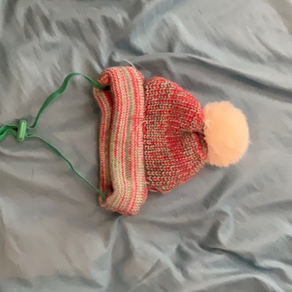 Dog hat